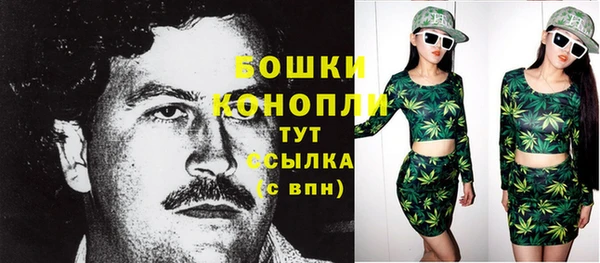 бошки Дмитров