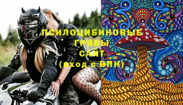герыч Дмитриев