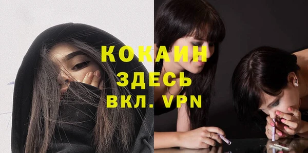 бошки Дмитров