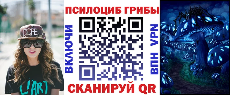 Купить  Енисейск  Псилоцибиновые грибы мицелий 